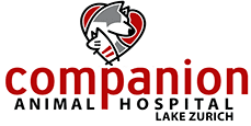 Companion Animal Hospital gallery